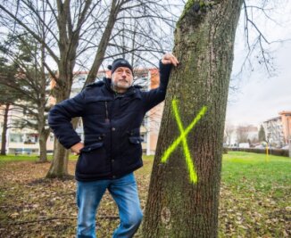 Auer um das Grün auf dem Brünlasberg besorgt - Mieter Uwe Schirneck an einem zur Fällung mit Kreuz markiertem Baum vor seinem Haus in der Auer Prof.-Dr.-Diekmann-Straße. Er fürchtet, dass nicht immer wirklich gefällt werden müsste.