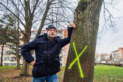 Auer um das Grün auf dem Brünlasberg besorgt - Mieter Uwe Schirneck an einem zur Fällung mit Kreuz markiertem Baum vor seinem Haus in der Auer Prof.-Dr.-Diekmann-Straße. Er fürchtet, dass nicht immer wirklich gefällt werden müsste.