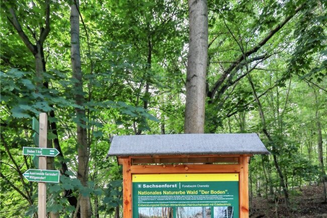 Auerswalde: Was einem Förster Sorgenfalten bereitet - Hinweisschild zum Waldgebiet "Der Boden" in Auerswalde.