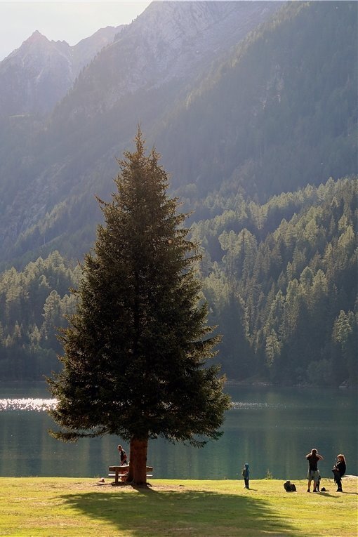 Den bis zu 38 Meter tiefen Antholzer See in Südtirol kann man zu Fuß in einer Stunde umrunden. Oder man springt einfach hinein.