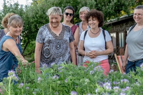 Auf der Spur der Heilpflanzen - Zur Kräuterwanderung durch Burgstädt hat Katrin Reuter (vorn links) eingeladen. Eine Station ist ein Garten in der Sparte Waldesfrieden.