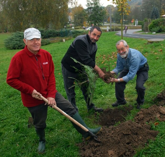 Auf die Vielfalt der Natur aufmerksam machen - Baumpark Ringethal: Uwe Starke, Ulrich Sachse und Bernd Jentsch (v. l.) pflanzen hier am Parkplatz eine Weißtanne.