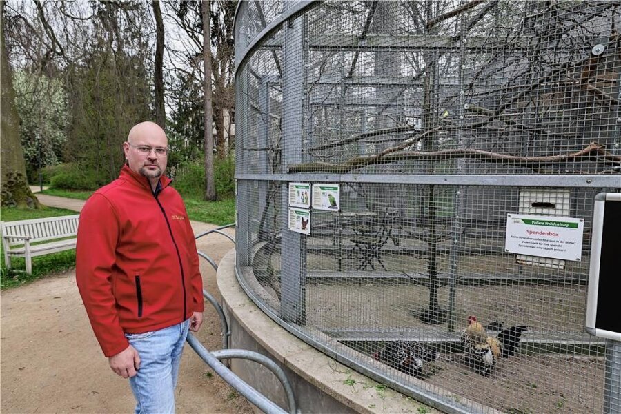 Aufatmen in Waldenburg: Experte rettet Vögel im Park - Züchter Ronny Berger ist Mitglied im Verein Vogelliebhaber Waldenburg und kümmert sich um die Voliere im Grünfelder Park.