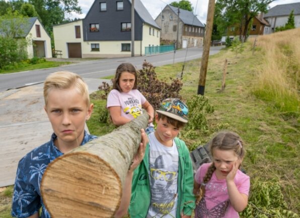 Diese Voigtsdorfer Kinder sind traurig, weil im Ort drei Bäume gefällt worden sind. Sie haben gehört, dass weitere etwa 70 bis 100 Jahre alte Bäume fallen sollen. Das Landratsamt hat acht Fällgenehmigungen erteilt. 