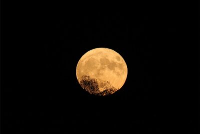 Augen auf in der Nacht: Warum der Mond im XXL-Format erscheint - Ein Supermond ist zwei, drei Mal pro Jahr zu beobachten. Selten: Im Monat August kommt der XXL-Mond zwei Mal.