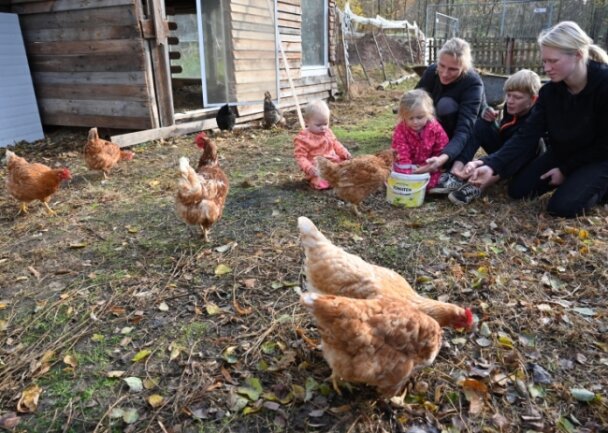 Aus für Streichelhof in Garnsdorf: Anwohner erheben schwere Vorwürfe - Ein Bild aus besseren Tagen: Vor einem Jahr hat eine Familie aus Mittweida noch an gleicher Stelle Hühner gefüttert. 