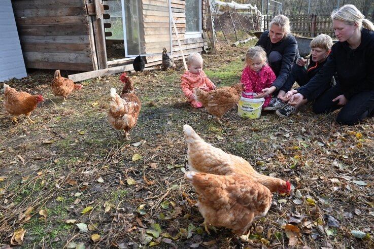 Aus für Streichelhof in Garnsdorf: Anwohner erheben schwere Vorwürfe - Ein Bild aus besseren Tagen: Vor einem Jahr hat eine Familie aus Mittweida noch an gleicher Stelle Hühner gefüttert. 