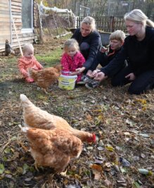 Aus für Streichelhof: Schwere Vorwürfe - Ein Bild aus besseren Tagen: Vor einem Jahr hat eine Familie aus Mittweida noch an gleicher Stelle Hühner gefüttert. 