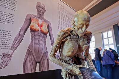 Ausstellung "Echte Körper - von den Toten lernen" in Meerane: Großer Andrang, aber keine konkreten Zahlen - Die Ausstellung war zwei Tage in Meerane zu sehen. 