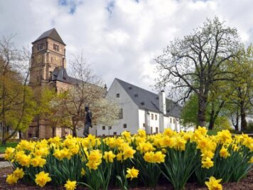 Ausstellung über Kriegsgefangene eröffnet - Blumen blühen vor der Chemnitzer Schloßkirche mit dem Schloßbergmuseum.