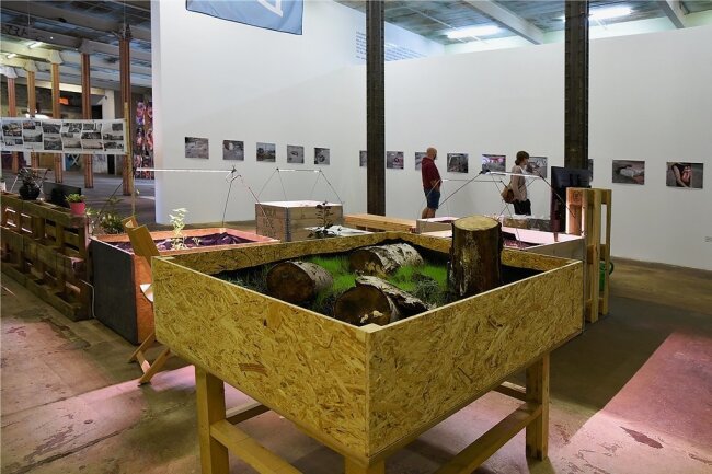 Bei der Ausstellung "Zukunft der Städte" in Leipzig, unter anderem mit Objekten und Fotografien, geht es auch um die Frage, wie die Natur ins urbane Leben ziehen kann. 