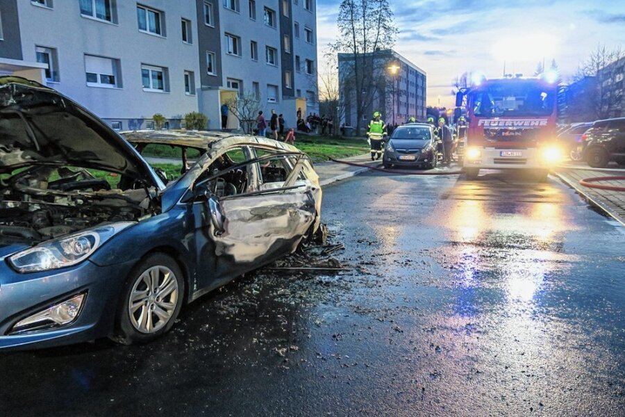 Das brennende Auto löschte die Feuerwehr. Foto: Niko Mutschmann