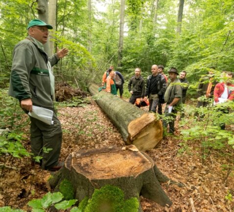 Azubis bekommen Extreme präsentiert - In seinem Hirschberger Revier zeigte Thomas Baader (l.) anschaulich, wie Mischbaumwälder erhalten und zugleich Wertholz im Zuge der erfolgreichen Bewirtschaftung des Waldes erzeugt werden kann. 