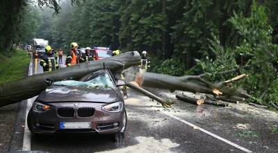 B 180: Baum stürzt auf Auto - Alter Sachsenring gesperrt - 