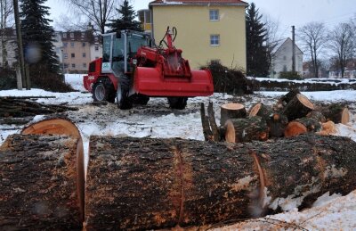 Bäume fallen für neuen Eigenheimstandort - 
              <p class="artikelinhalt">Große Bäume wurden in den vergangenen Tagen an der August-Bebel-Straße in Brand-Erbisdorf gefällt. Das Gebiet ist für Eigenheime vorgesehen. </p>
            