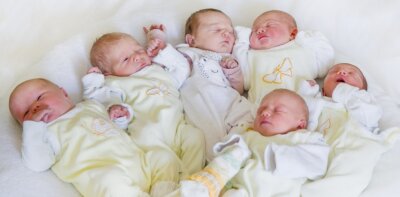 Babys halten Entbindungsstation auf Trab - 