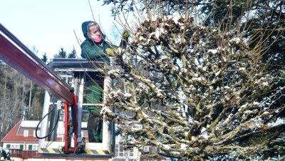 Bad Brambach: Winterliche Idylle und Vorbereitung auf den Frühling - 
