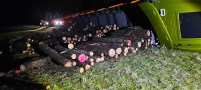 Bad Elster: 50.000 Euro Schaden durch umgekippten Holztransporter - Das Holz verteilte sich über die Wiese.