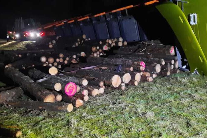 Bad Elster: 50.000 Euro Schaden durch umgekippten Holztransporter - Das Holz verteilte sich über die Wiese.