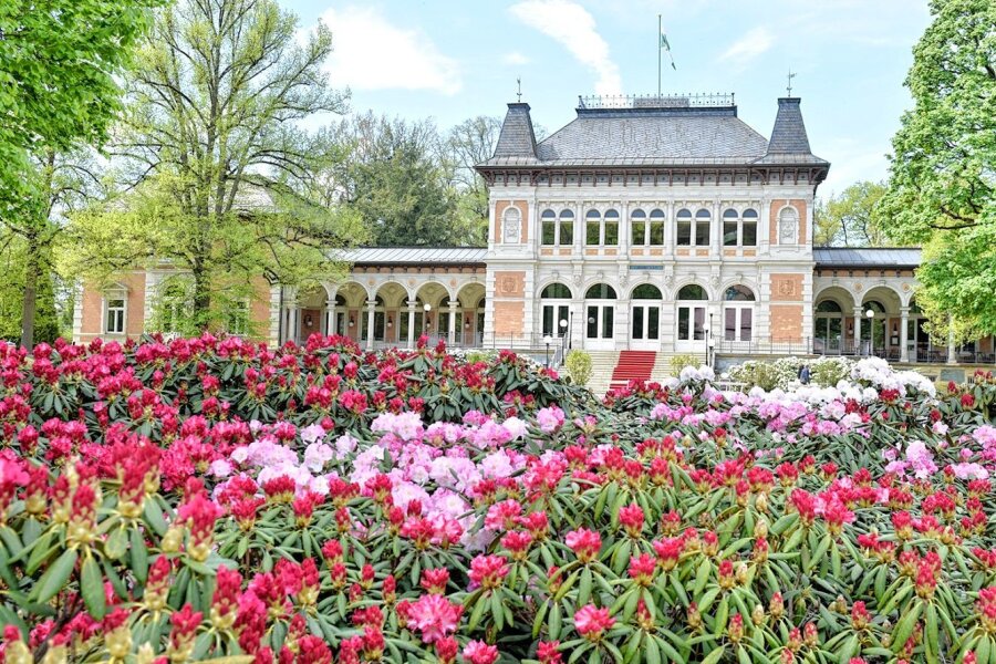 Bad Elster blüht auf: Kurort lädt zum Rhododendronfest ein - 