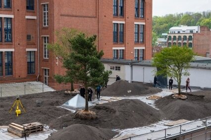 Bäume, Fassadengrün, Dachgärten: Gutes tun fürs Mikroklima - Im Mai wurde auf dem Wirkbau ein Dachgarten angelegt.