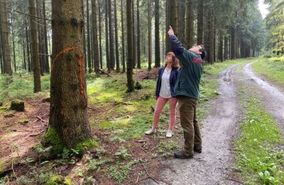 Bäume werden für bessere Loipen gefällt - Revierförster Jan Zieger erläutert der Schönecker Hauptamtsleiterin Ute Dähn, welche Bäume in den nächsten Wochen entlang der Loipentrasse gefällt werden sollen. 