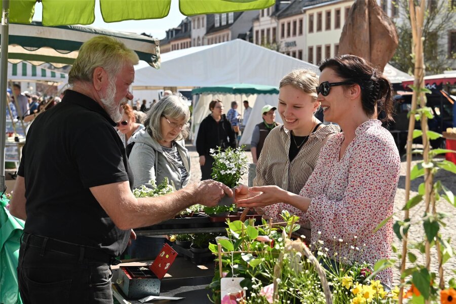 Bald nächster Regionalmarkt in Rochlitz - Zu den Regionalmärkten in Rochlitz bietet Bernhard Liebchen regelmäßig Produkte seiner Gärtnerei an.