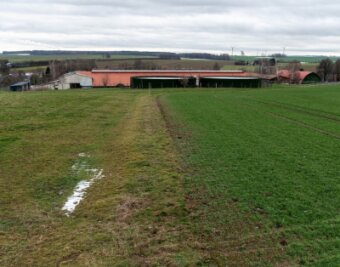 Bauarbeiten für Schweinestall sollen nächste Woche starten - Auf dieser Fläche am Kuhstall von Königshain soll der Schweinestall der Genießergenossenschaft Sachsen gebaut werden. 