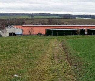Bauarbeiten für Schweinestall sollen nächste Woche starten - Auf dieser Fläche am Kuhstall von Königshain soll der Schweinestall der Genießergenossenschaft Sachsen gebaut werden. 
