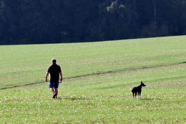 Bauern ärgern sich über Hundehalter - Ohne eine Leine führt ein Mann in Mittelsachsen einen Hund auf einem Feld aus, das noch nicht abgeerntet wurde. Für die Landwirte ist ein solches Verhalten ein Problem.