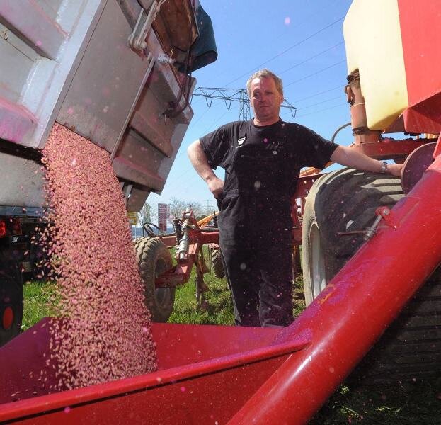 Bauern legen mit Verspätung los - 
              <p class="artikelinhalt">Jörg Keller von der Zwönitzer Agrargenossenschaft füllt seine pfluglose Drillmaschine mit Sommergerste. Die Spezialmaschinen sind jetzt im Dauereinsatz.</p>
            