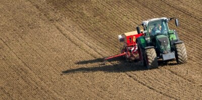 Bauernchef: Europa muss sich selbst versorgen - Futtergetreide, das hier auf einem Feld an der B 171 bei Olbernhau im Herbst ausgesät wurde, kann im Sommer geerntet werden. Der Preis für Mischfutter ist seitdem um mehr als das Doppelte gestiegen. 