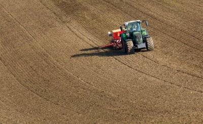 Bauernchef: Europa muss sich selbst versorgen - Futtergetreide, das hier auf einem Feld im Herbst ausgesät wurde, kann im Sommer geerntet werden. Der Preis für Mischfutter ist seitdem um mehr als das Doppelte gestiegen. 