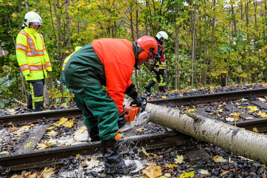 Baum blockiert Gleis im Erzgebirge: Lokführer verhindert Schlimmeres - Einsatzkräfte der Feuerwehr Aue rückten an, um den Baum auf den Gleisen zu entfernen.