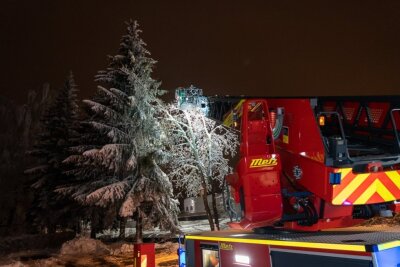 Baum bricht unter Schneelast ab - mehrere Autos beschädigt - 