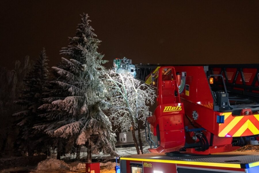 Baum bricht unter Schneelast ab - mehrere Autos beschädigt - 