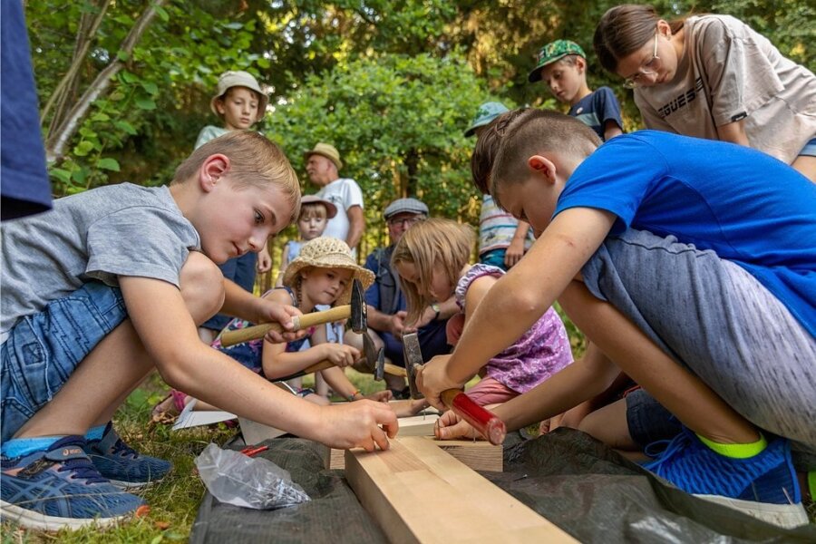 Im Walderlebnisgarten durften die Kinder in verschiedene Holzarten Nägel einschlagen. Die Erkenntnis: In Hartholz geht der Nagel schwerer einzuschlagen als in weiches Holz. 