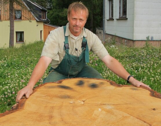 Baum gefällt - doch von Bau keine Spur - Nur noch ein Stumpf ist übrig. Jörg Richter von der Grünen Aktion Westerzgebirge an den Resten einer stattlichen Stieleiche, die auf dem Areal Waldhausen in Eibenstock der Säge zum Opfer fiel.