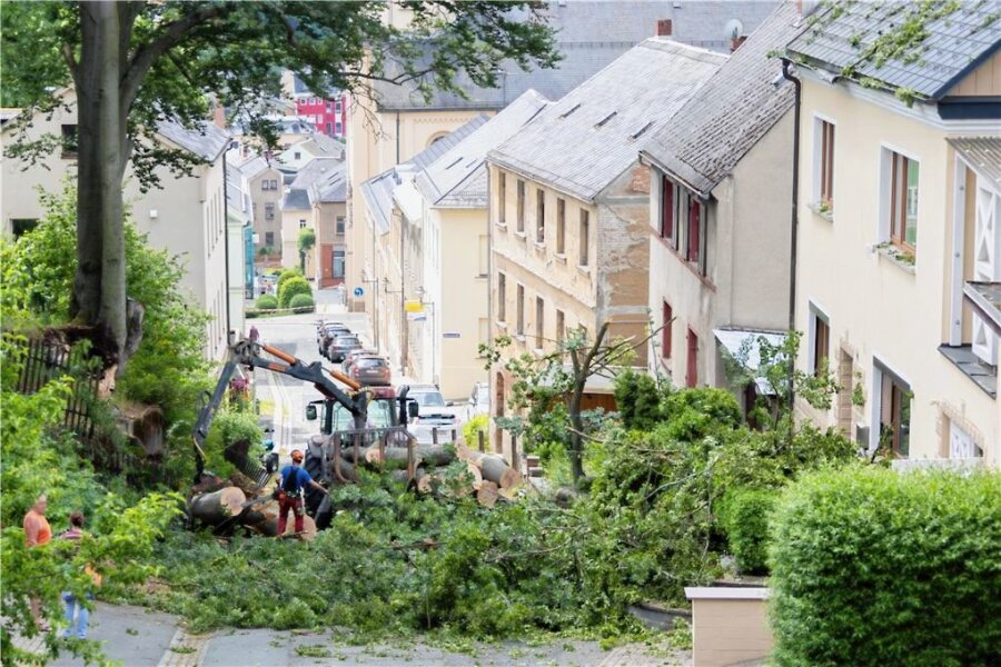 Baum in Markneukirchen abgebrochen - Die Aufräumarbeiten an der Schönecker Straße am Donnerstag in Markneukirchen.