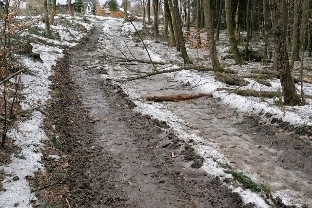 Die Baumfällaktion im Stadtpark Schöneck hat deutlich Spuren auf den Wegen hinterlassen. Die Beseitigung der Schäden war nach Angaben der Stadt Bestandteil der Ausschreibung und des Angebots.