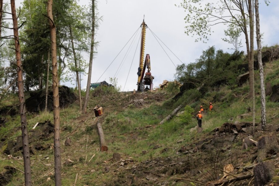 Baumfällarbeiten bei Thermalbad Wiesenbad erfolgen unter Extrembedingungen - 