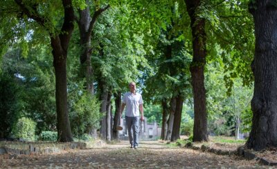 Baumpark vereint Natur und Denkmalschutz - Ulrich Franke vom Verein der Freunde Plauens gehört zu den Helfern, die die Umgestaltung des ehemaligen Friedhofs II zum Baumpark nach einem von Bernhard Weisbach entworfenen Masterplan unterstützen. 