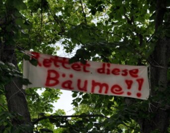 Baumrettung in Falkenstein: Bürger haben Mitspracherecht - Unmissverständlich bringen die Falkensteiner auf verschiedene Weise ihren Willen zum Ausdruck.
