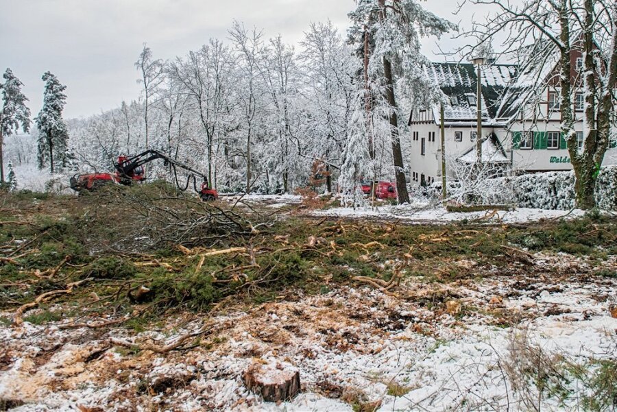Bauprojekt in der Hohndorfer "Walderholung": Hecke soll für Sichtschutz sorgen - Die Baumfällungen an der "Walderholung" haben vor knapp zwei Jahren für Aufregung gesorgt. Auch der Bebauungsplan wird kritisch gesehen. 
