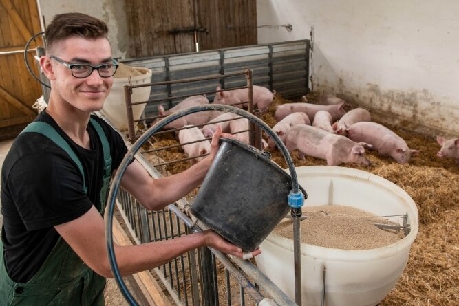 Bei der Agraset-Agrargenossenschaft Naundorf als Gründungsmitglied der Genießergenossenschaft Sachsen werden bereits Duroc-Schweine nach der Art gehalten, wie es im neuen Königshainer Stall geplant ist. Das Foto mit Auszubildendem André Berger entstand im Vorjahr. 