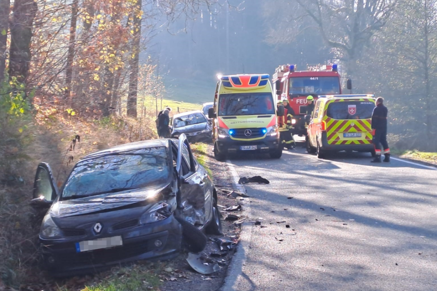Bei Unfall auf Straße zwischen Mulda und Lichtenberg wurde ein Mensch verletzt - 