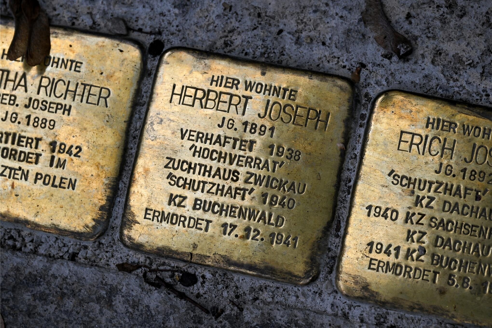 Bekommt Lichtenstein Stolpersteine F R NS Opfer   12935011 M2040x1530 