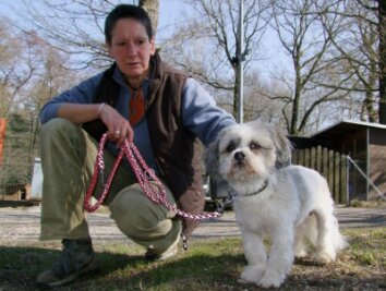In Tierheimmitarbeiterin Sabine Graupner hat der quirlige Benny ein verständnisvolles Frauchen auf Zeit gefunden. Der Hund sollte aber schnellstend wieder ein neues Zuhause finden. 