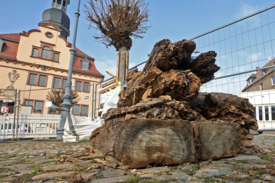 Bergleute entdecken Reste vom alten Marktbrunnen in Waldenburg - 