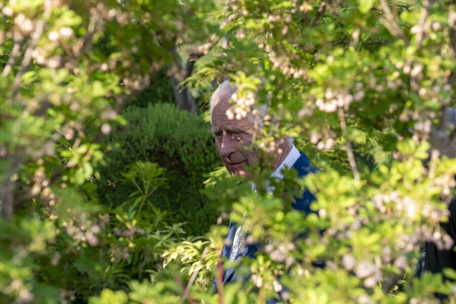 Berühmter Baum gefällt: König Charles bekommt Ableger - Der britische König Charles III. beim Besuch der Chelsea Flower Show in London.